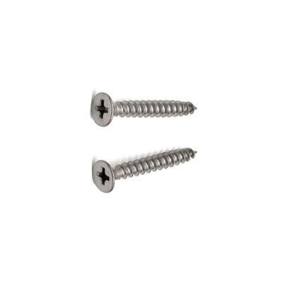 Factory Wholesale Stainless Steel SS304/316 DIN7982 Screw Fastener Csk Self Tapping Screw