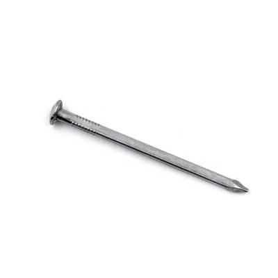 Cheap Price Boat Construction Square Shank Boat Nail with 5kg Box