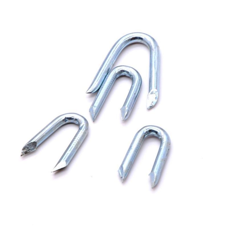 Vietnam Philippines Singapore Market/Electro Galvanized U Type Nails for Fence Staples