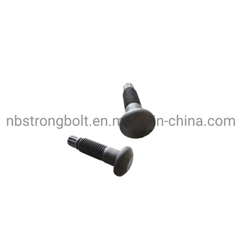 Alloy Steel Torsion Shear High Strength Bolts