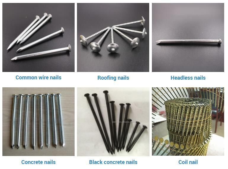 Best Price Galvanized Roofing Felt Clout Nail, Hotsale 2 Inch Plain Head Nails Polished Common Nail