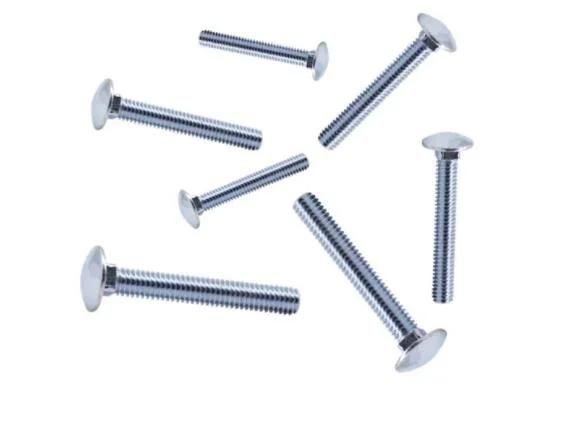 Made in China Bulk Packing with Mushroom Head and Square Neck Carriage Bolt