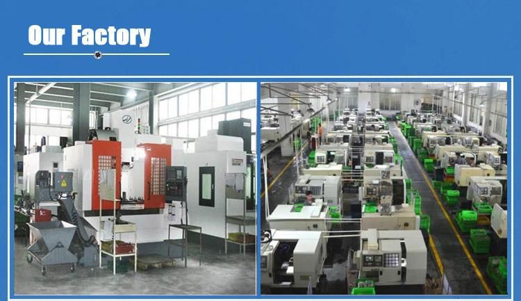 Hydraulic Hose Assembly with Fitting, Rubber Hose