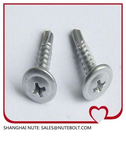 Stainless Steel 304 316 410 Self Drilling Screws St2.9 to St6.3, Flat Head, Pan Head, Hex Washer Head, Truss Head, and So on.