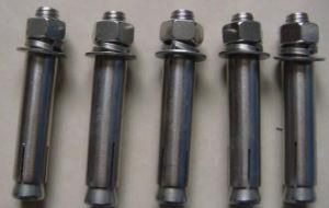Expansion Screw