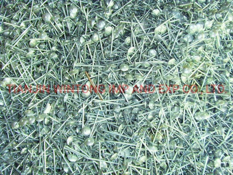 Common Polished Galvanized Iron Nail for Woodworking in Building Formwork