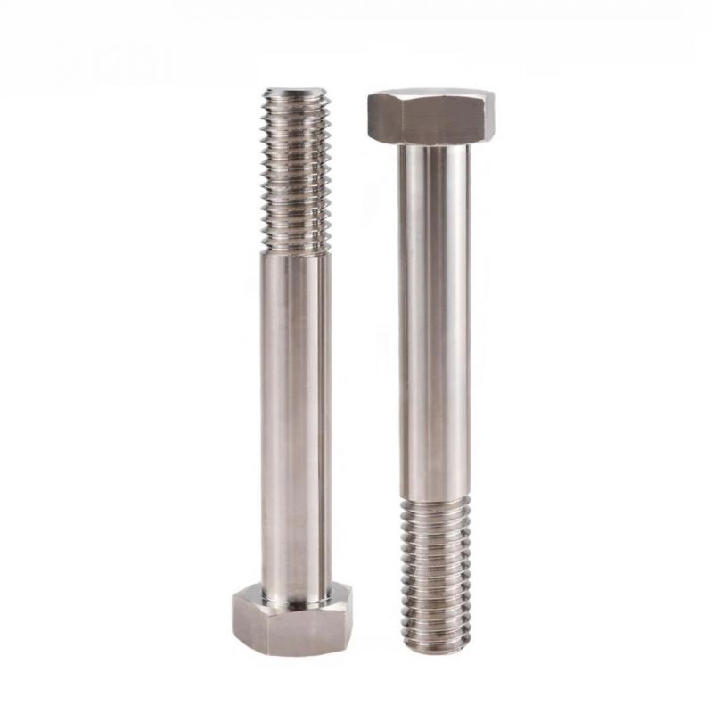 China Stainless Steel Carriage Bolt (SS304 SS316)