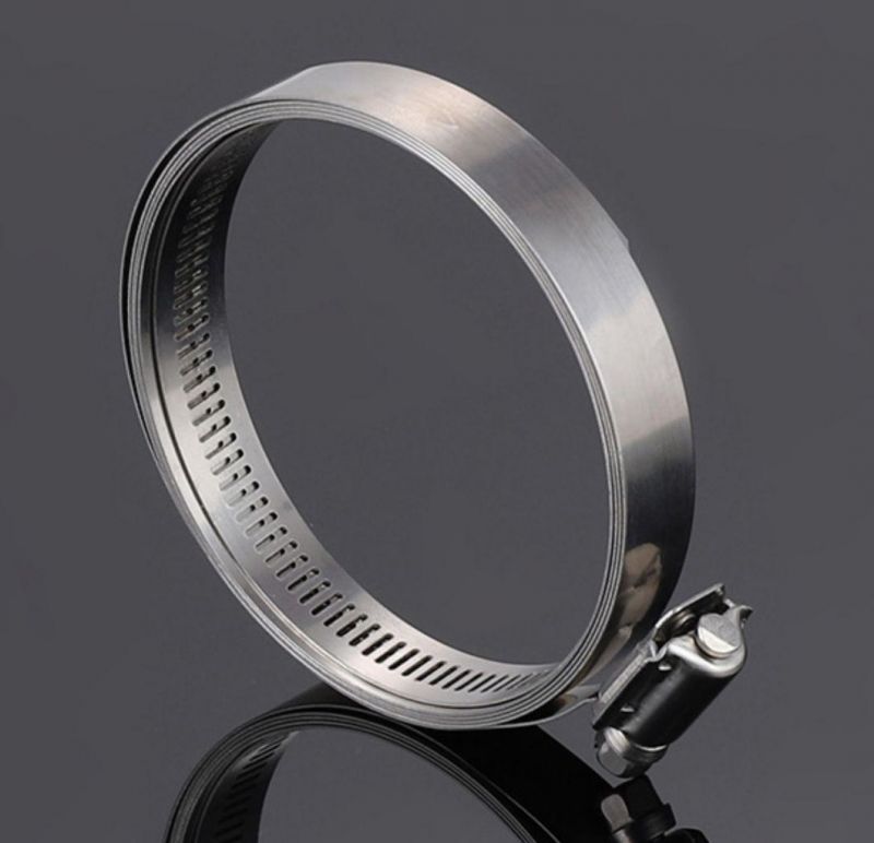European Type Hose Clamp American Style Hose Clamp