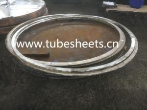 Customized Large Size Steel Flange