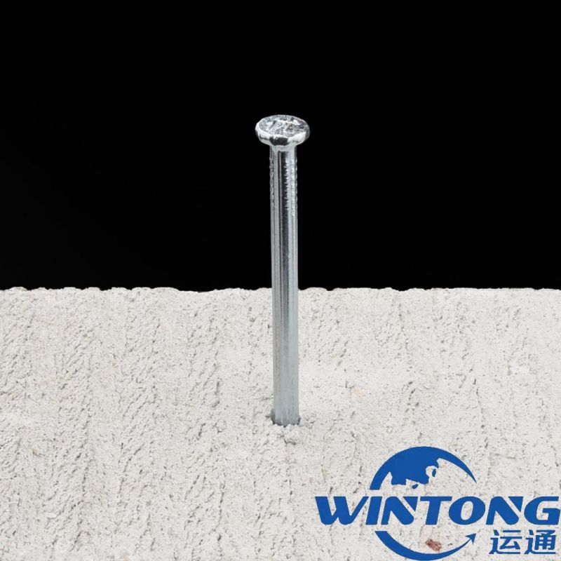 Metal /Iron /Galvanized Concrete Nail