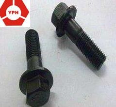 Stainless Steel Hex Flange Bolts with Black DIN6921