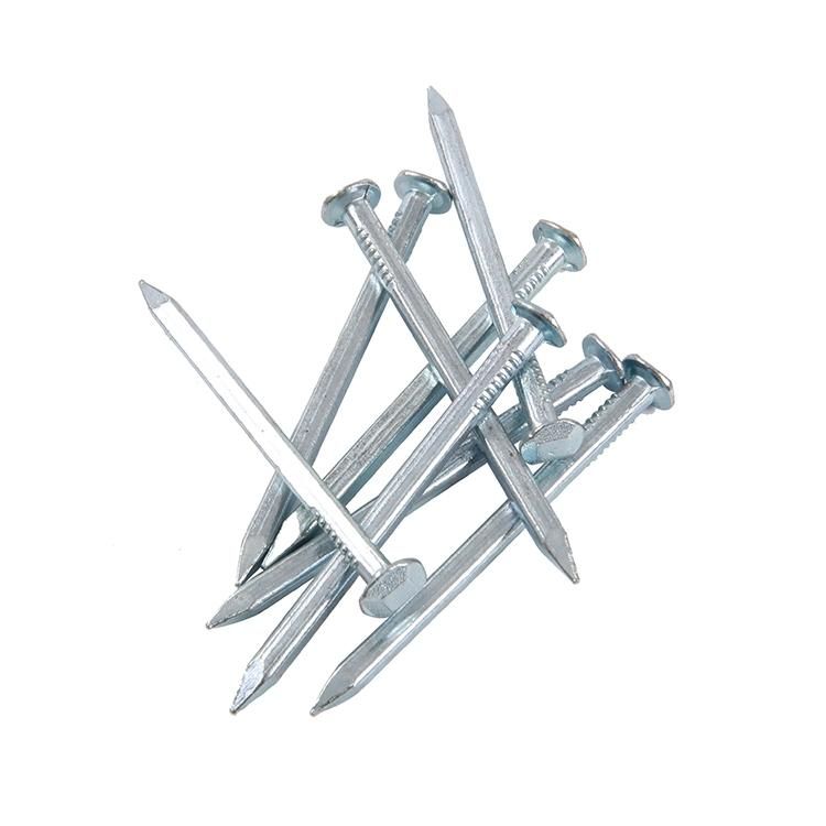 Vietnam Philippines Singapore Market/Durable Using Boat Nails Copper Nail for Boat Galvanised Boat Nails