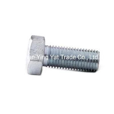 Customized DIN934 Stainless Steel Nut From Nina