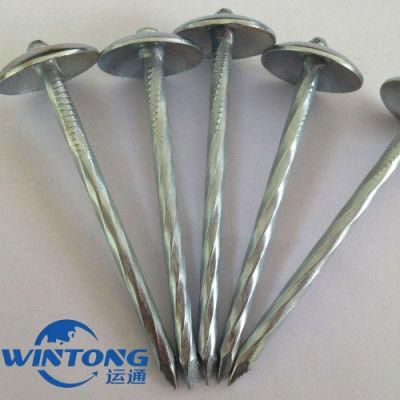 Galvanized Umbrella Head Roofing Nails, Twisted Shank Roofing Nails