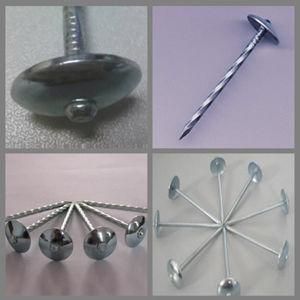 Bwg8~Bwg13 Roofing Nails &amp; Umbrella Nails