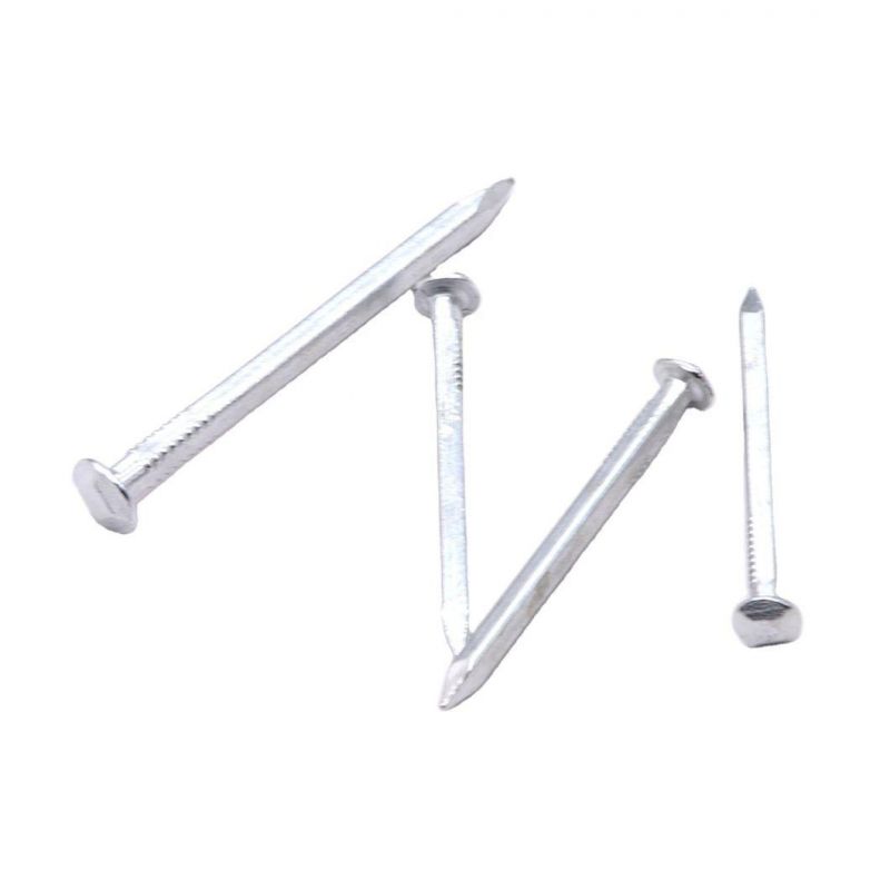 Myanmar Thailand Laos Vietnam Philippines Singapore Market/Galvanized Steel Square Boat Nails for Ship