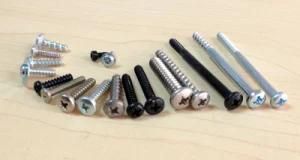 Precision Screw Precision Fastener Electronic Screws Nut
