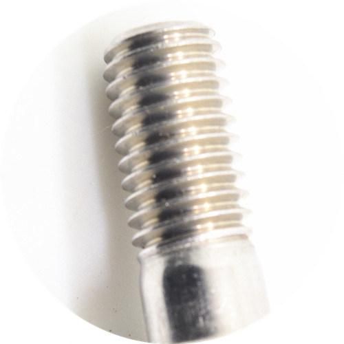 Stainless Steel 304 Button Head Bolt