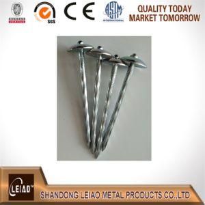 Nails, Bwg9X2.5inch Umbrella Head Roofing Nails