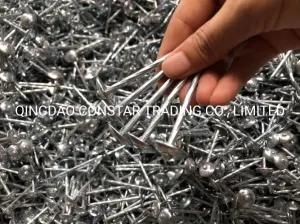 Hot Sale Galvanized Smooth Roofing Nails with Big Umbrella Head
