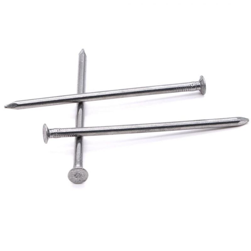 Chinese Manufacturer Concrete Nails Price Angular Spiral Steel Hardened Concrete Nails