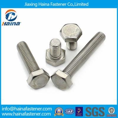 Stainless Steel All Kinds of Screws and Bolts