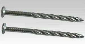 Umbrella Coil Roofing Nails with Best Price