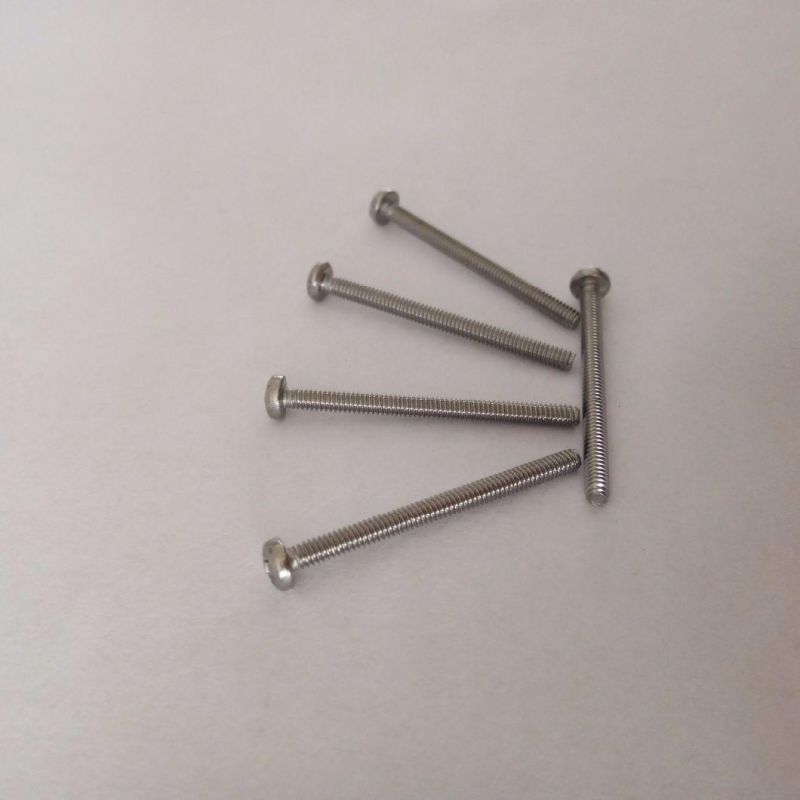 Manufacture Provide Stainless Steel M2 Machine Screws