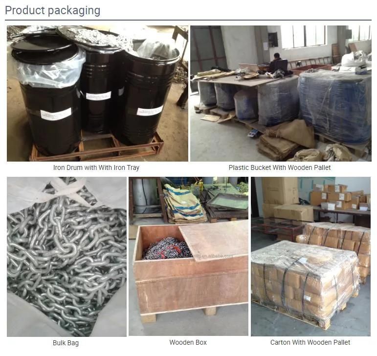 Quick Connecting European/Us Standard G80/G100 Alloy Steel/Stainless Steel Forged/Welded/Weldless Round/O/Circular Ring with Surface Treatment