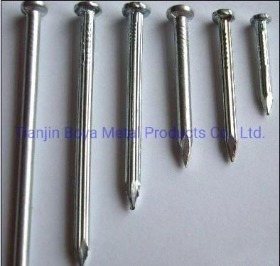 Best Quality Polished Common Nail for Construction