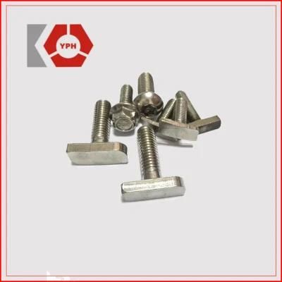 Factury Produce Stainless Steel DIN T-Bolt