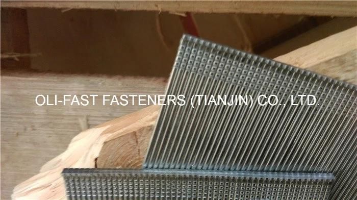 16 Gauge Straight Finish Nails, T Nail