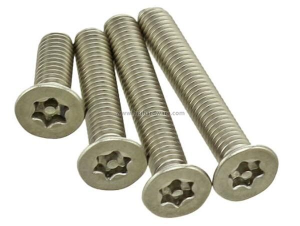 Torx Csk Head Security Machine Screw with Pin