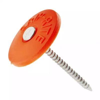 1&quot; Cap Plastic Cap Nail Ring Shank Nail Big Cap Nail