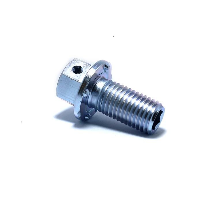 Customized Fastener Galvanized Steel Hollow Bolt Carriage Bolt Door Bolt