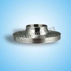 DIN Weld Neck Flange (Carbon Steel or Stainless Steel)