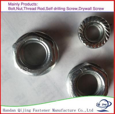 DIN934 Zp Hexagon Nut Carbon Steel Fastener Plain Hex Nut