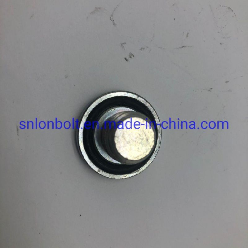 Plug Screw with Rubber for Sealing T30