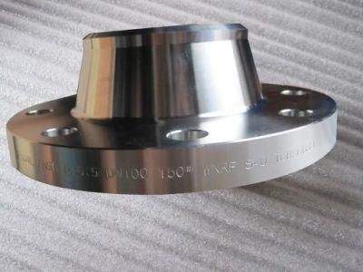 En Standard Flange Pl/So/Wn/Bl/Thread/Screwed Flange Carbon Steel Flange