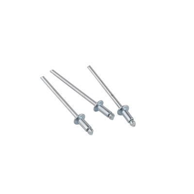 Steel Rivet From China