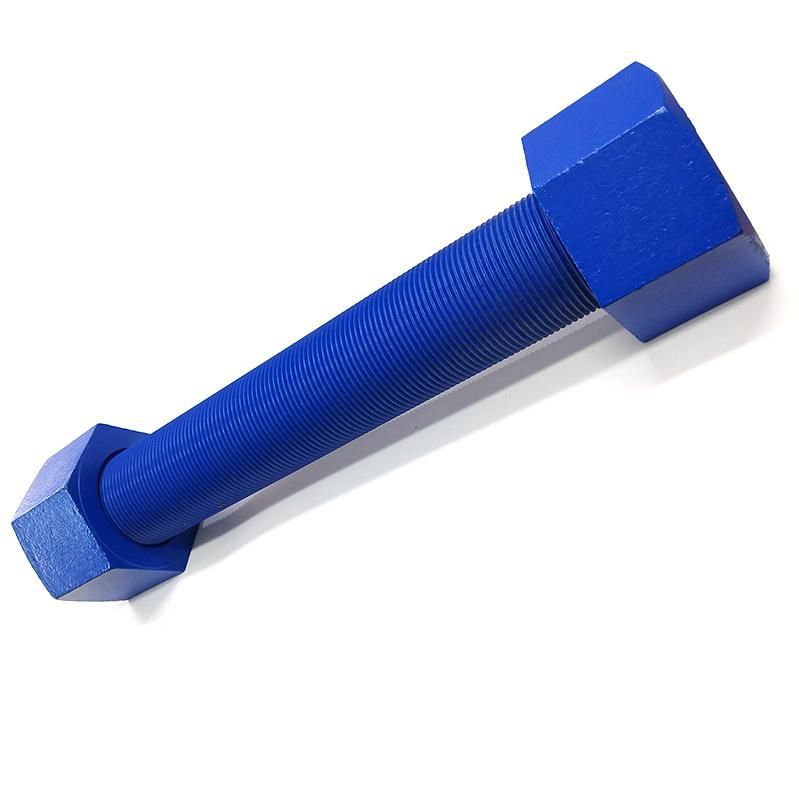 A193 B7/A320 L7 PTFE Threaded Rods with 2h Hex Nut