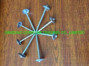 Hot Sale Umbrella Head Galvanized Roofing Nail with Smooth Shank