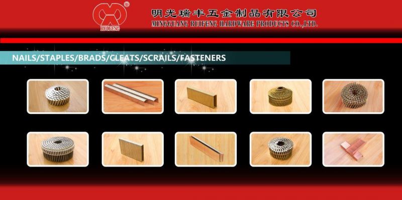 Good Quality Nails in China Direct Manufacturer in Anhui Galvanized BCS4 Series 16ga Heavy Wire Staples.