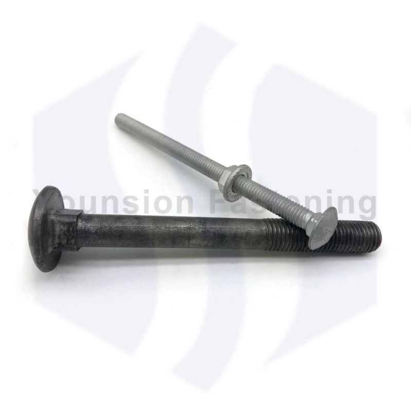 Bsw ANSI Full Thread or Half Thread 1/4*2 5/16*3 3/8*3 1/2 White Zp 4.8 Grade Carriage Bolt