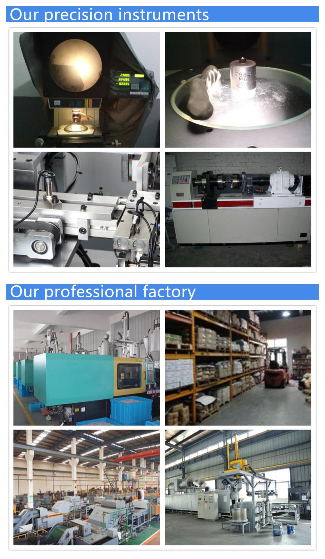 Black Thread /Half Thread Profession Fastener Supplier High Strength Chemical Anchor Bolt
