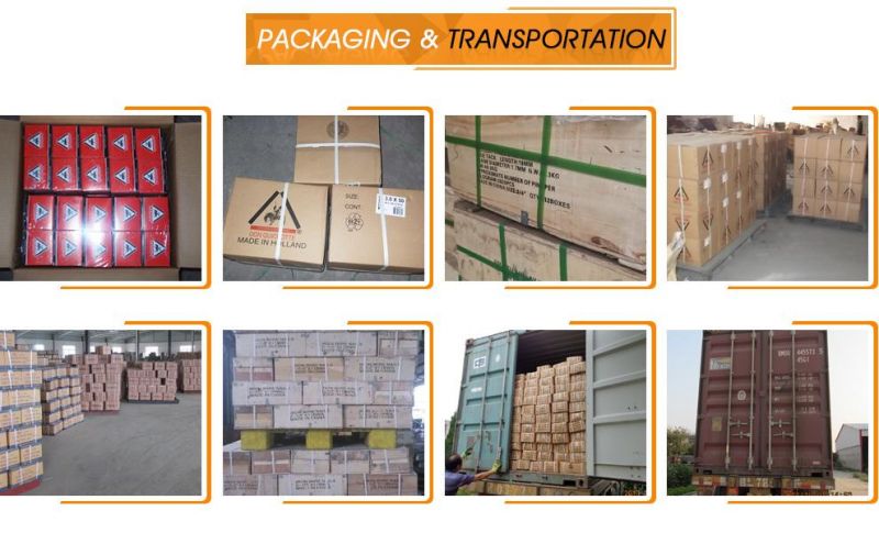Galvanized Concrete Nails From Guangzhou Supplier