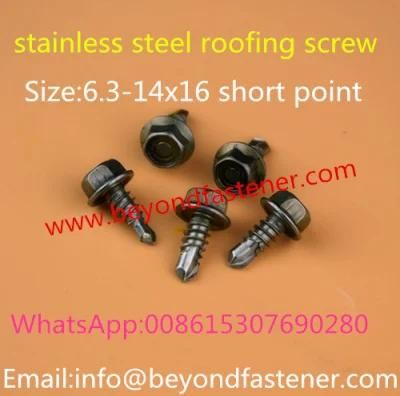 Stainless Steel Roofing Screw/ Self Drilling Screw/Self Tapping Screw