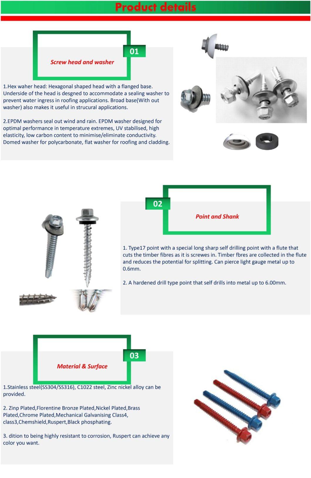 Hex Head Drive Roofing Screw +EPDM Washer