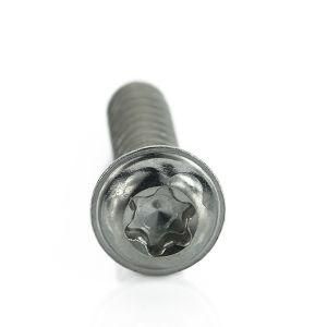 Excellent Quality Carbon Steel Zinc Plated Pan Head PT Screw with Washer