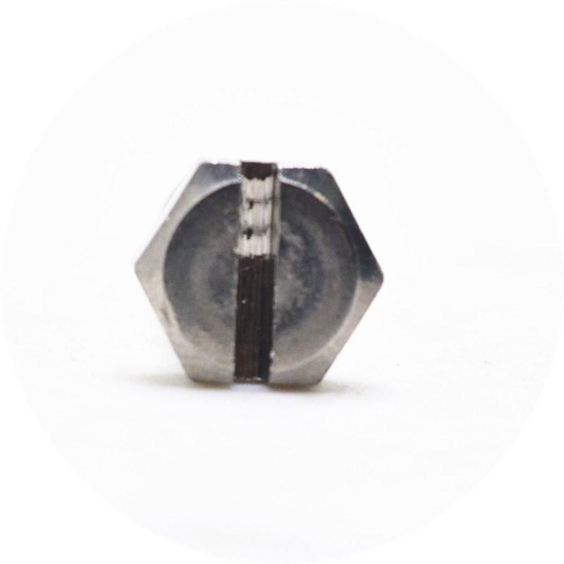 Stainless Steel 304 Slotted Hex Head Machine Screw